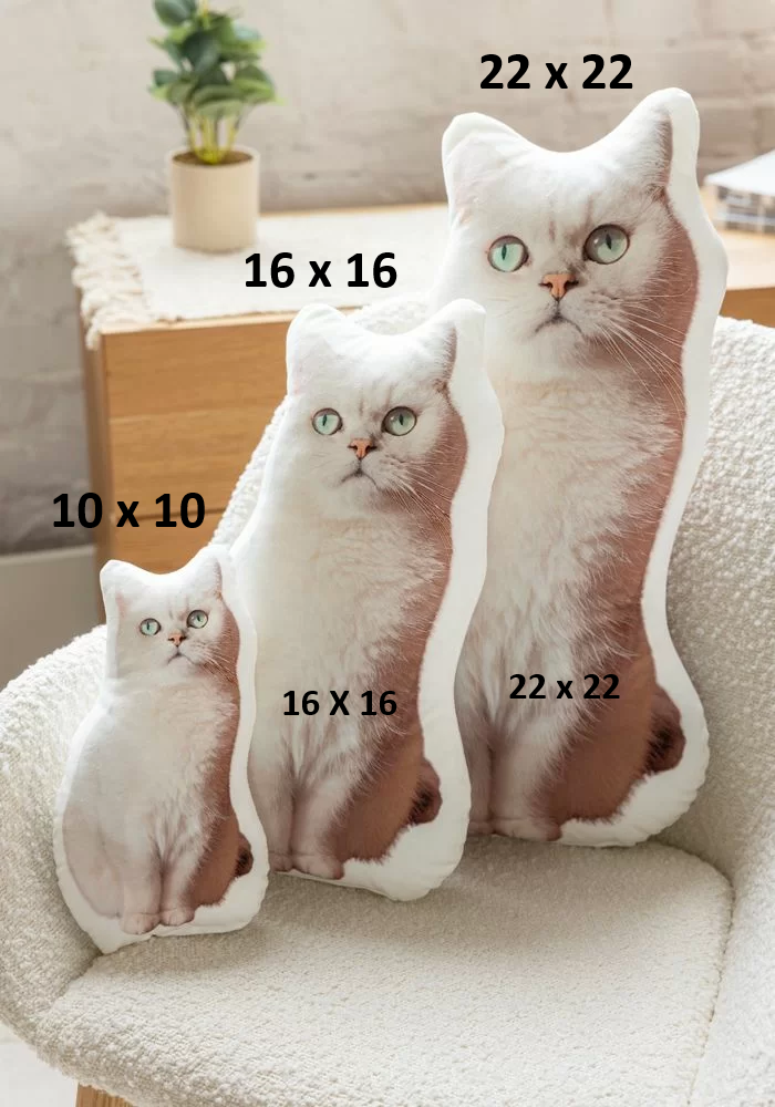 Pillows PET
