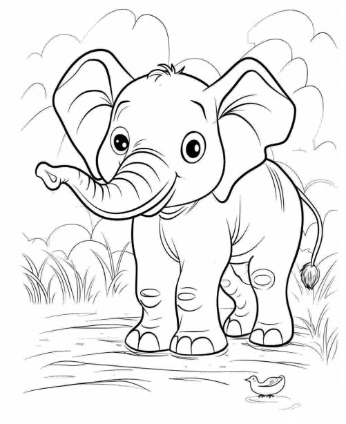 Animal Coloring Journey 1