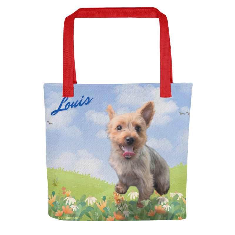 Tote Bag Customized Tot Bag Unique Bag