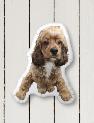 3D Shaped Pillow | Custom Shaped Pillow