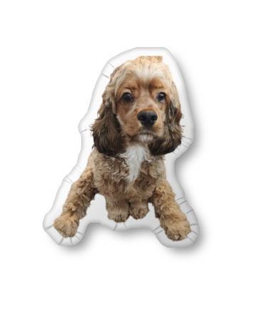 3D Shaped Pillow | Custom Shaped Pillow