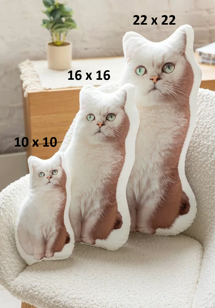 3D Shaped Pillow | Custom Shaped Pillow